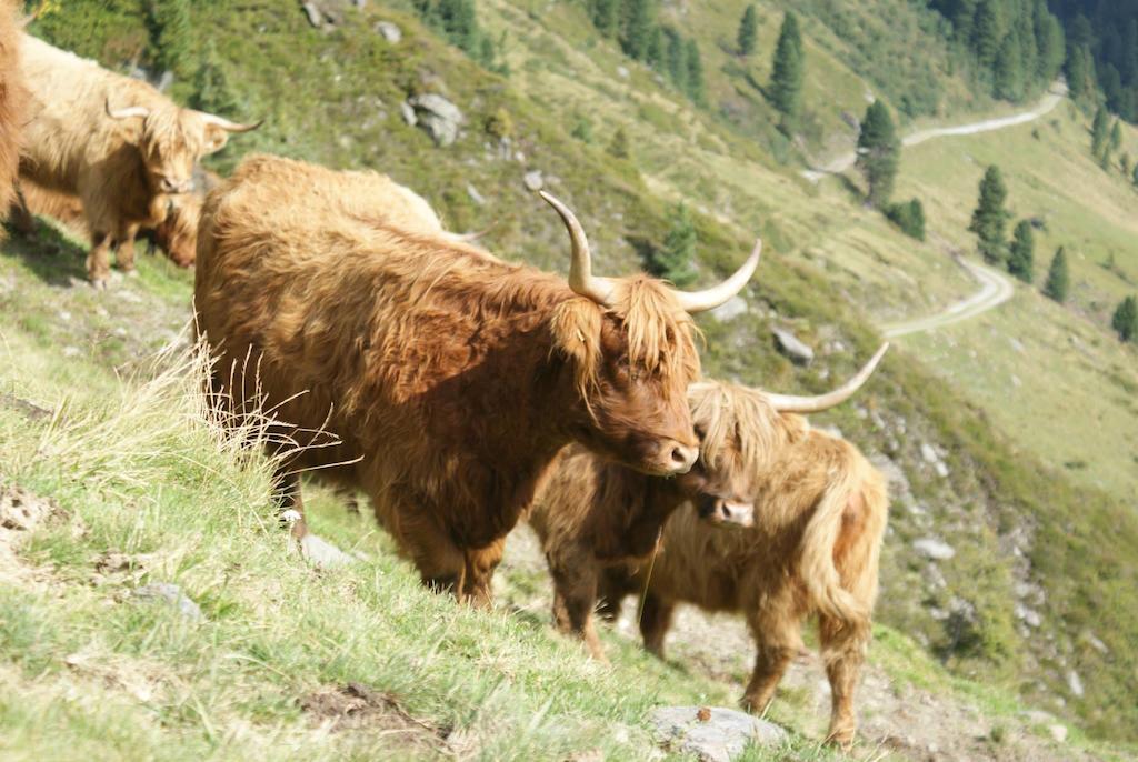 Kraftquelle Herrnmuhle Bramberg am Wildkogel Exterior photo